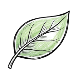 Naturprodukte Icon